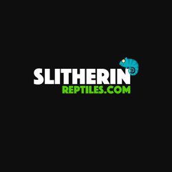 Slitherin Reptiles, Coalville, Leicestershire