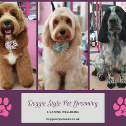 Doggie Style Pet Grooming, Leeds, West Yorkshire 
