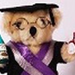 Graduation Bears by Badgrads, Witham, Essex 