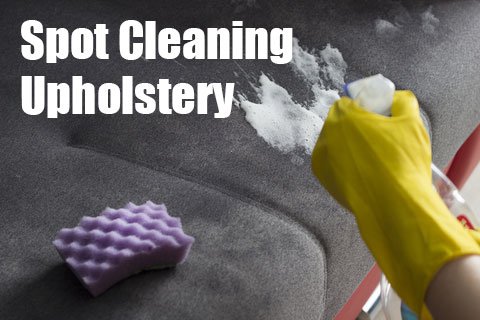 <p>How To Spot Clean Different Types Of Upholstery</p>