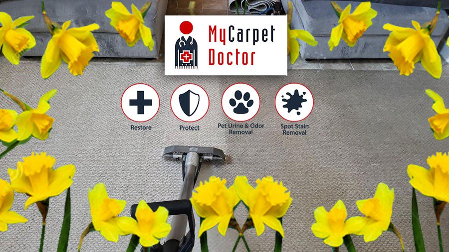 <p>Why You Should Have Your Carpets Cleaned Professionally This Spring</p>