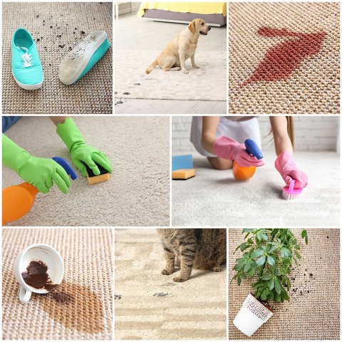 <p>Essential Tips For Cleaning Stains And Spots From Your Carpet</p>