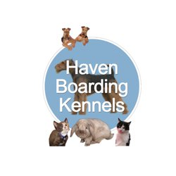 Haven Boarding Kennels & Cattery, Ashford