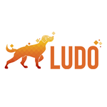 Ludo Ai Game