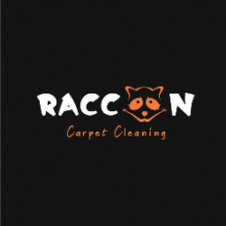 Raccoon Carpet Cleaning, Thornton Heath, Surrey