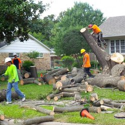 Wheaton Tree Removal, Wheaton, Il