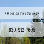 Wheaton Tree Removal, Wheaton, Il