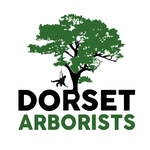 Dorset Arborists, Poole, Uk
