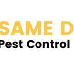 Same Day Pest Control London, London, United Kingdom