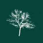 Tree Surgeon Wolverhampton, Wolverhampton, United Kingdom