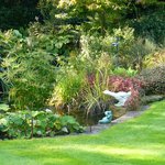 J L Gardening Services Ltd, Wallington, Gb