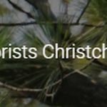 ArboristsChristchurch.co.nz, Christchurch, Nz