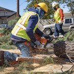 Forest Edge Tree Service, Newtown, Us