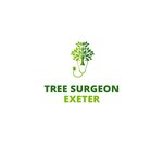 Tree Surgeon Exeter, Exeter, Gb
