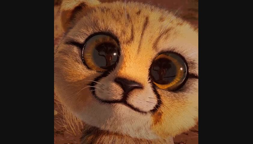 Test loading of mp4 | Scooploop Workshop | Scooploop